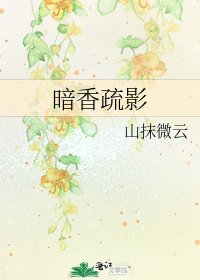 暗香疏影