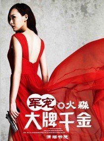 盛寵大牌千金/軍寵一大牌千金